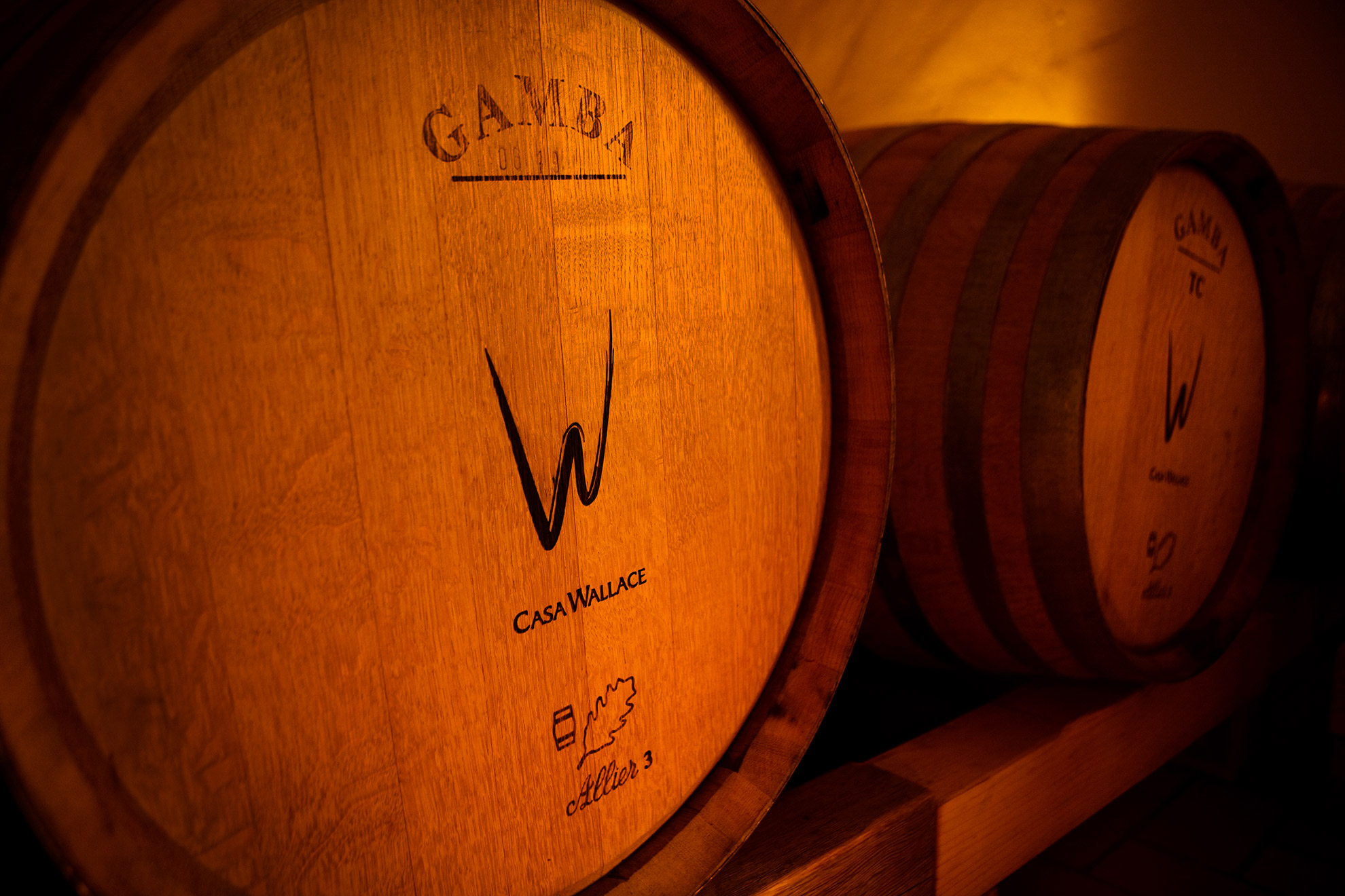 Piedmont wines